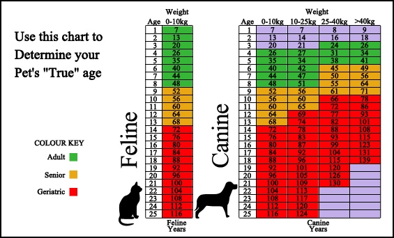 Wellborn Road Veterinary Medical Center - Surveillance Screening